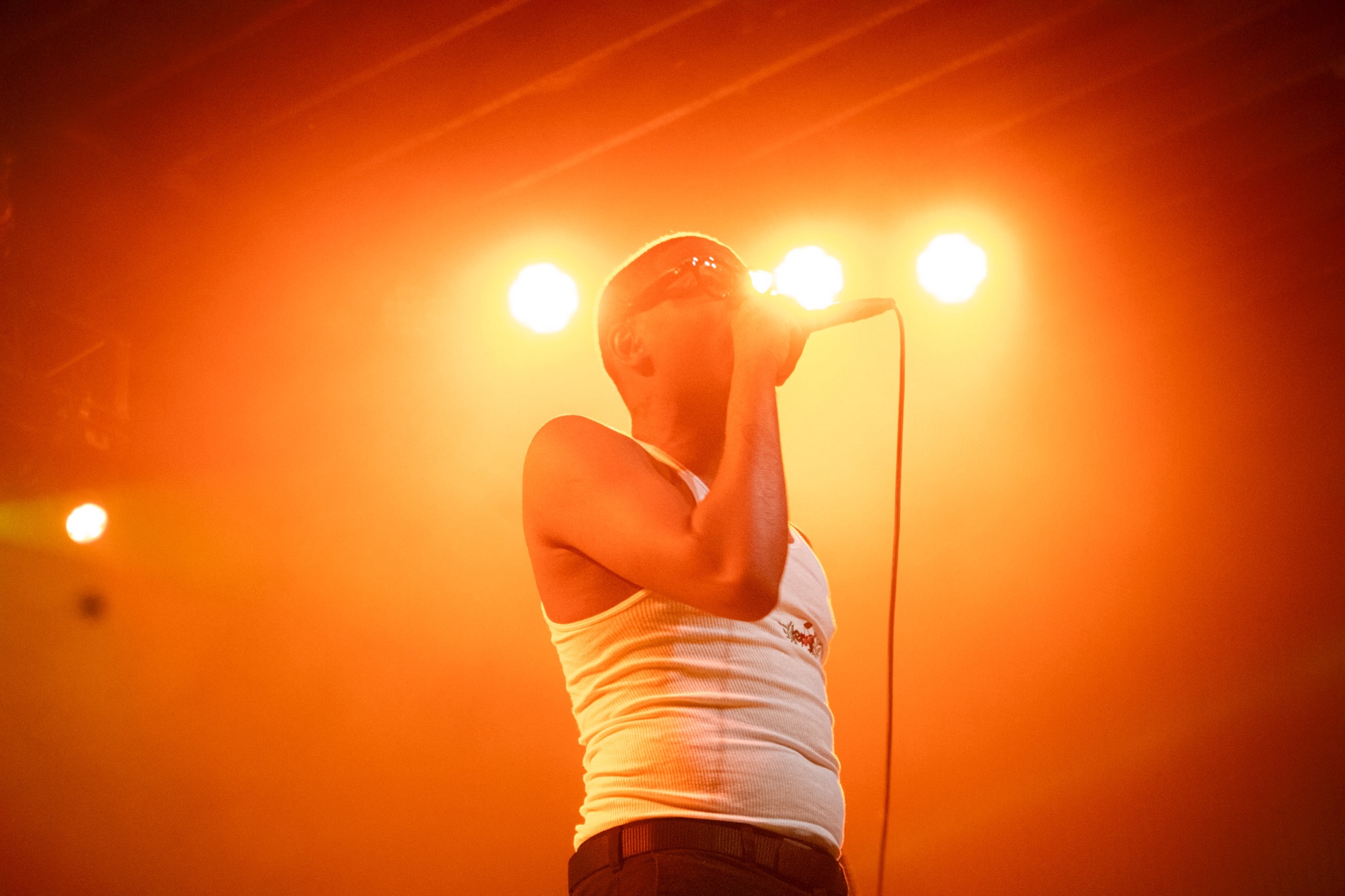 photo aug 17 2024, 7 38 37 am-1